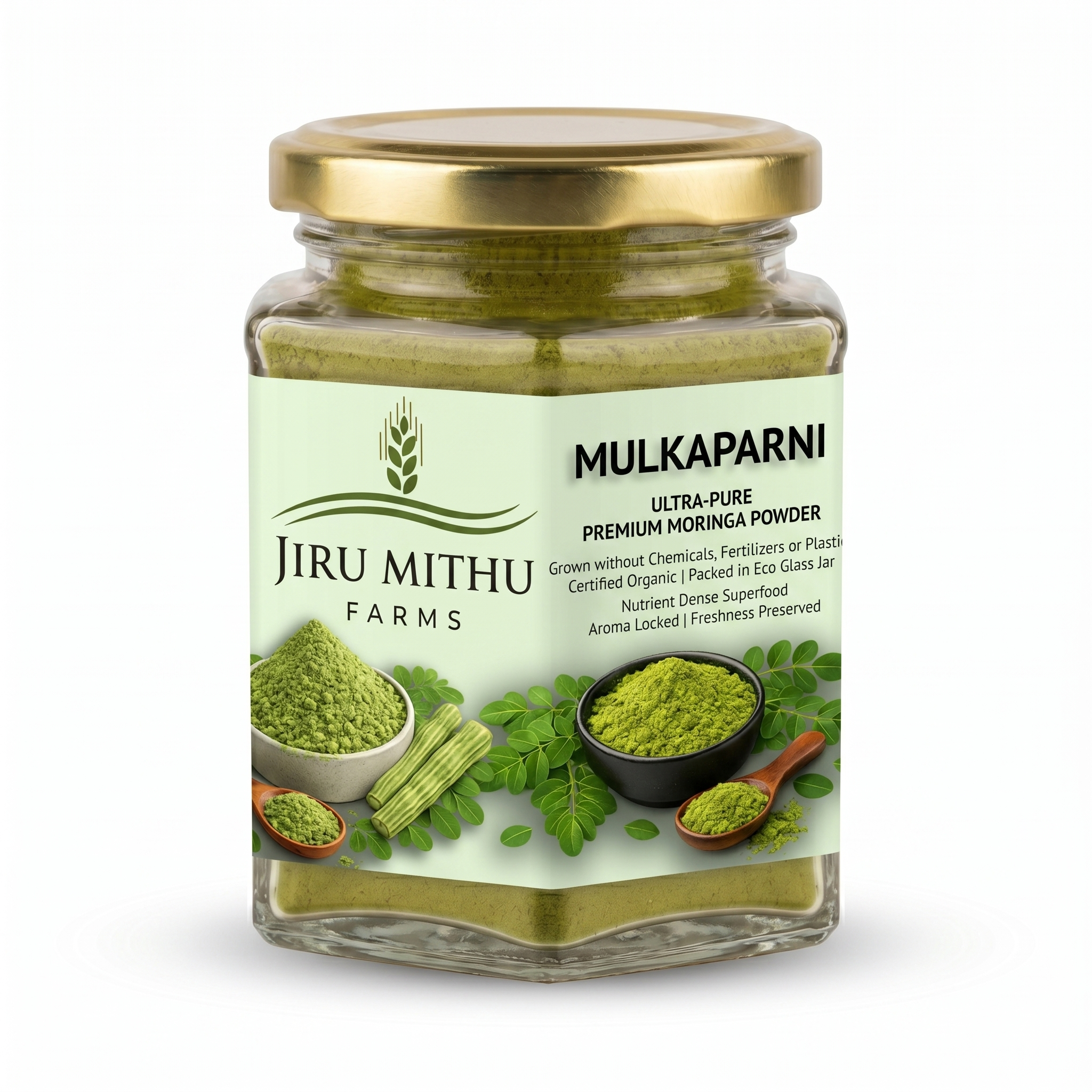 One Spoon of MULKAPARNI: What Moringa Actually Does to Your Body